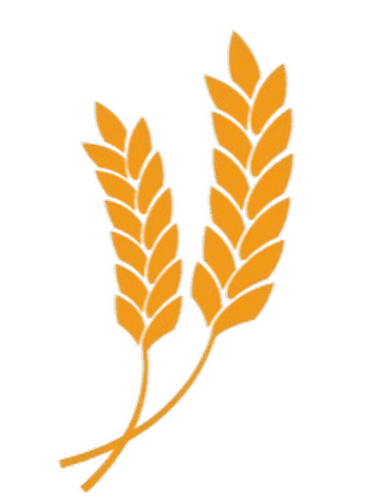 Rice Spike